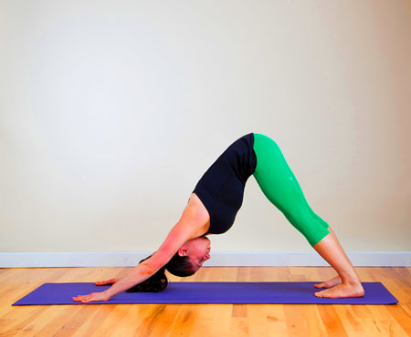 Yoga cơ bản tập tại nhà cho người mới bắt đầu