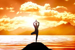 Hatha Yoga-Con đường của Yoga